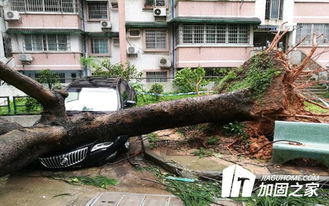臺風(fēng)“山竹”對建筑物造成多大的影響？